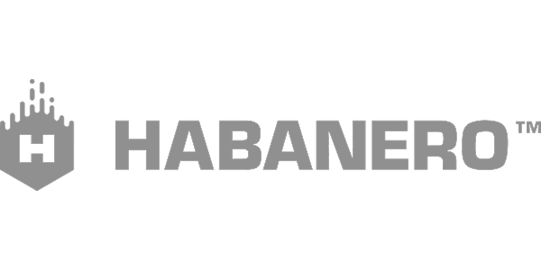 Best Casino Gaming Providers -